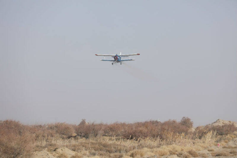 图为飞机正在塔克拉玛干沙漠荒漠化区域进行“树种球”飞播试验造林作业（林国强 摄）