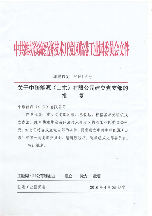 合资企业也抓党建，中碳能源（山东）有限公司成立党支部